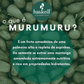 SHAMPOO HASKELL MURU MURU 300ML