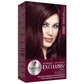 KIT TONALIZANTE HASKELL EXCLUSIV 5562 CASTANHO CLARO VERMELHO VIOLETA ESPECIAL SEM AMÔNIA 